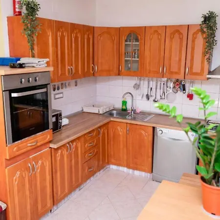 One Bedroom With Terrace A1 שיבניק