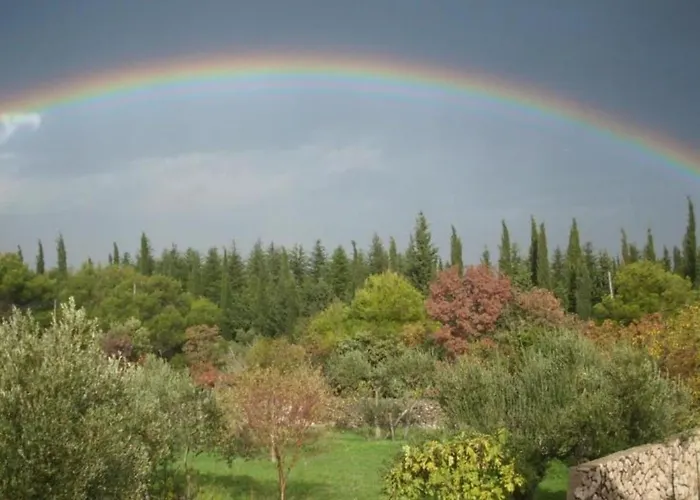 One Bedroom With Terrace A1